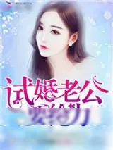 《试婚老公，用点力！》小说封面