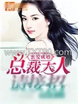 《蜜爱成婚：总裁大人请接招》小说封面