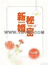 《新婚秘密》小说封面