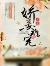 《娇妾难宠》小说封面