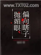 《偏向瞎子抛媚眼》小说封面