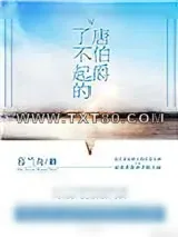 《了不起的唐伯爵》小说封面