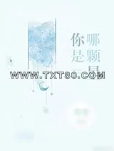 《你是哪颗星》小说封面