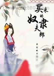 《买来的奴隶夫郎[女尊]》小说封面