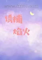 《诱捕焰火》小说封面