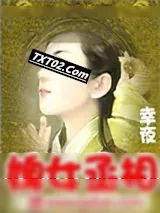 《婢女丞相》小说封面