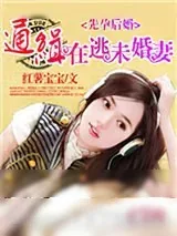 《先婚后孕：通缉在逃未婚妻》小说封面
