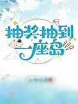 《抽奖抽到一座岛》小说封面