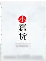 《小蠢货》小说封面