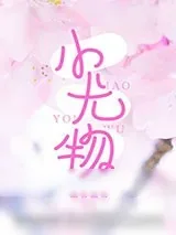 《小尤物》小说封面