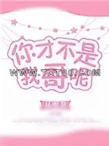 《你才不是我哥呢》小说封面