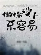 《做你嫂子不容易》小说封面