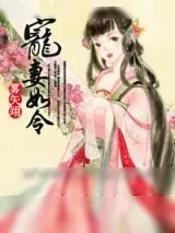 《宠妻如令》小说封面