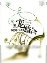 《宠婚（婚恋文）》小说封面