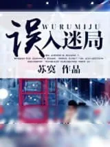 《误入迷局》小说封面