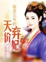 《腹黑王爷的天价弃妃》小说封面
