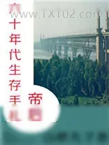 《帝后六十年代生存手札》小说封面