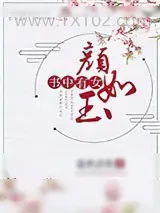 《书中有女颜如玉》小说封面