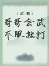 《[红楼]哥哥会武不服就打》小说封面