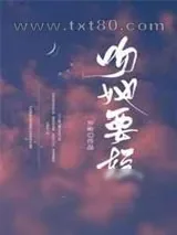 《吻她要轻》小说封面