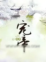 《宠帝》小说封面