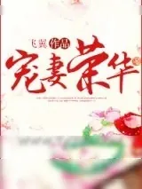 《宠妻荣华》小说封面
