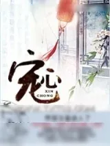 《宠心》小说封面