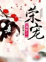 《清穿之荣宠》小说封面