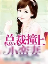 《总裁撞上小蛮妻》小说封面