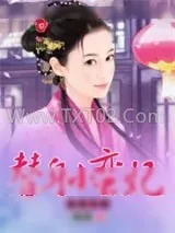 《毒君求爱：替身小蛮妃》小说封面