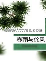 《春雨与徐风》小说封面