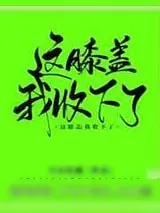 《这膝盖我收下了!》小说封面