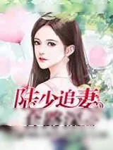 《陆少追妻套路深》小说封面