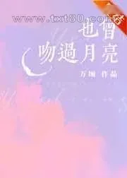《也曾吻过月亮》小说封面