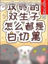 《攻略的双生子怎么都是白切黑》小说封面