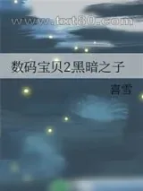 《数码宝贝2黑暗之子》小说封面