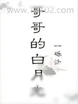 《哥哥的白月光》小说封面