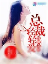 《盛世宠婚：总裁，轻轻爱》小说封面