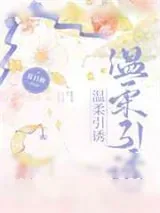《温柔引诱》小说封面