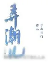 《弄潮儿》小说封面
