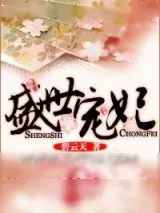 《盛世宠妃》小说封面
