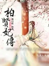 《柏贤妃传》小说封面