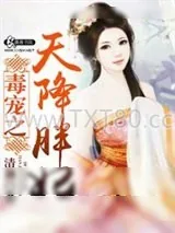 《毒宠之天降胖妃》小说封面