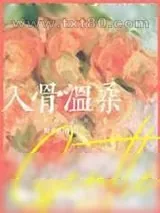 《入骨温柔》小说封面
