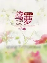 《重生之鸢萝》小说封面