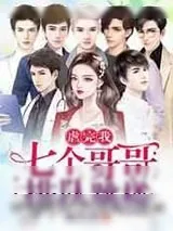 《虐完我,七个哥哥排队跳楼》小说封面