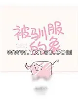 《被驯服的象》小说封面