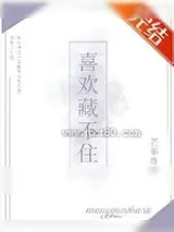 《喜欢藏不住》小说封面