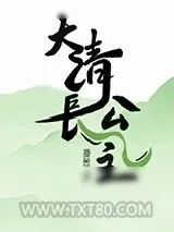 《大清长公主》小说封面