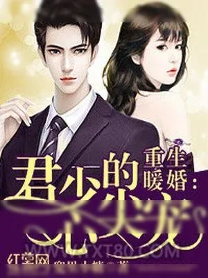 《重生暖婚：君少的心尖宠》小说封面